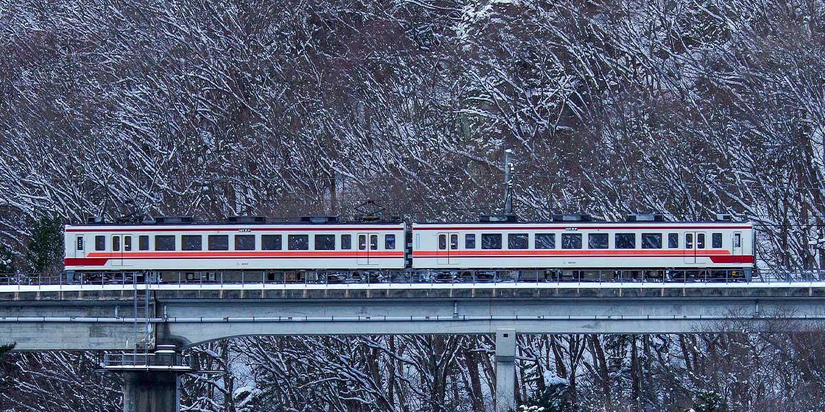 ＜31630＞野岩鉄道6050型（2パンタ車・61102編成）