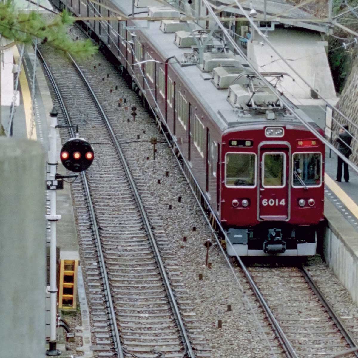 ogp-gm-32091-250611.jpg