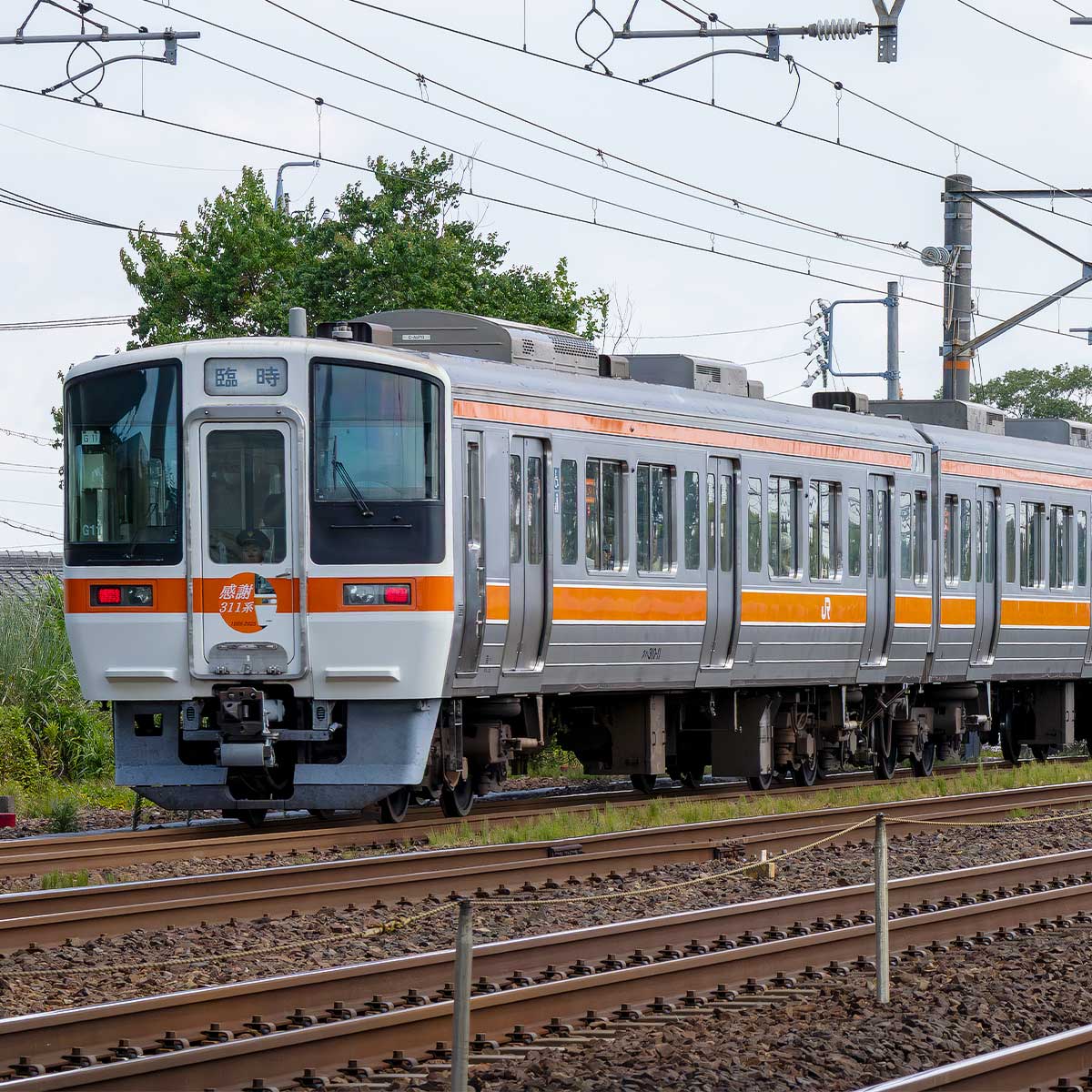 50827＞ありがとうJR311系（2次車・車番選択式）基本4両編成