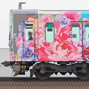 阪神1000系（阪神電車×桃園メトロ連携記念ラッピング列車）6両編成セット（動力付き）